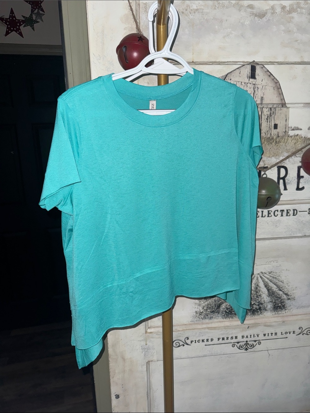Zenana Outfitters Short-Sleeve Crewneck Top in Aqua Teal